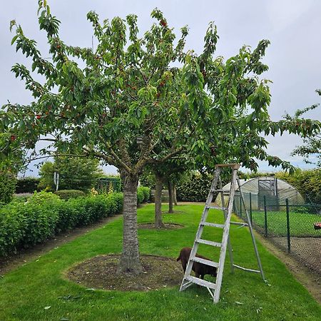 'T Hooghe Licht Bed & Breakfast Zonnebeke Bagian luar foto