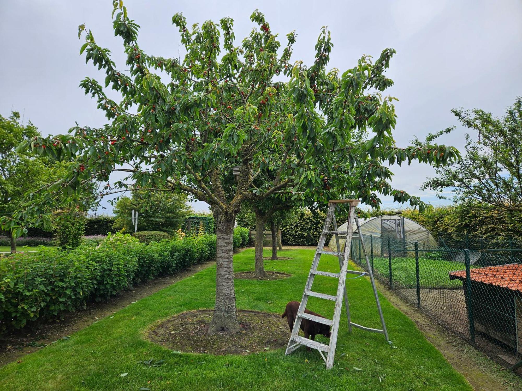 'T Hooghe Licht Bed & Breakfast Zonnebeke Bagian luar foto